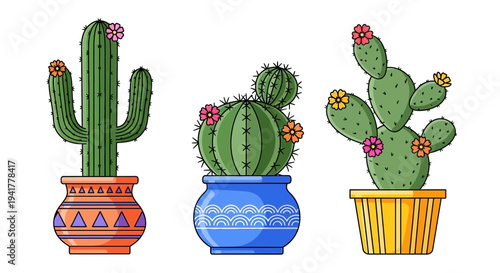 Colorful cacti with vibrant flowers in decorative pots