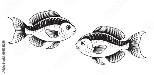Two ornamental fish illustrations, detailed black and white drawings, elegant aquatic life depictions