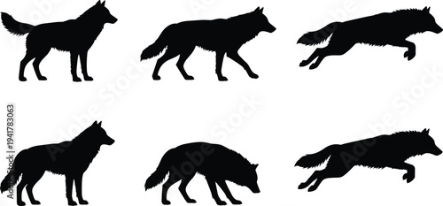 Black wolf silhouettes in various poses and movements including standing, walking, leaping, sniffing, wild animal illustration for design and art