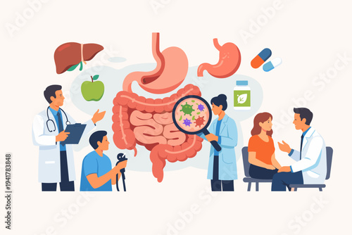 Medical Team of Doctors Examining the Human Gastrointestinal Tract and Digestive System, Providing Healthcare Advice to a Patient, Gut Microbiome, Stomach, Liver, and Intestines Health Illustration