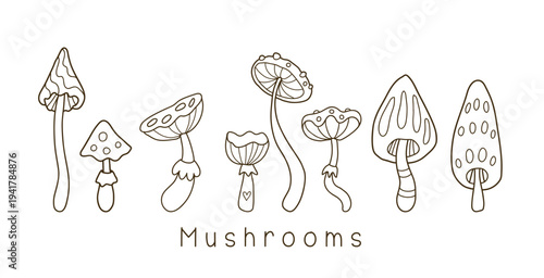 Cute autumn mushroom line art vector. Doodle Illustration. Hand-drawn sketch hand-drawn for stickers, icons, coloring book