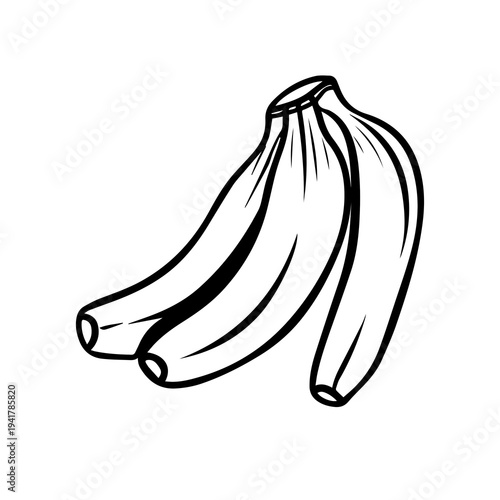 Fresh Banana Fruit Bunch Sketch Vector Illustration