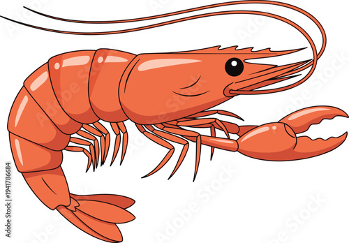 Red shrimp or prawn vector illustration with detailed shell texture and claws isolated on white background for seafood and marine life designs