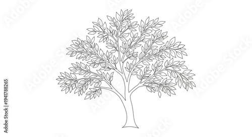 Detailed Illustration of a Large Tree with Dense Foliage.