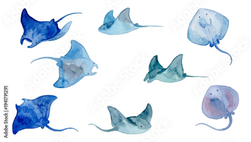 Hand drawn watercolor manta ray illustration, graceful swimming marine life, ocean blue