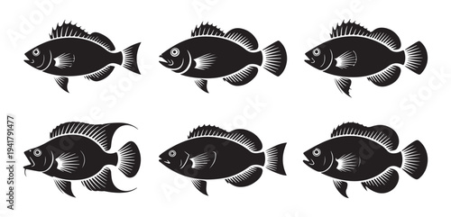 Set of black and white fish. isolated marine creatures. vector silhouettes of various freshwater fish