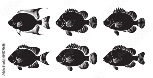 Set of black and white fish. isolated marine creatures. vector silhouettes of various freshwater fish