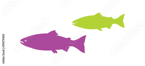 Colorful salmon shape illustration isolated on a white background.