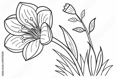 coloring page line art the rafflesia flower black vector