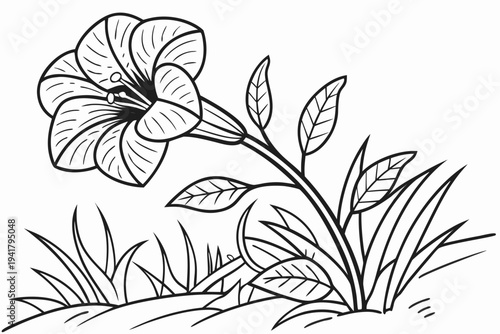 coloring page line art the rafflesia flower black vector