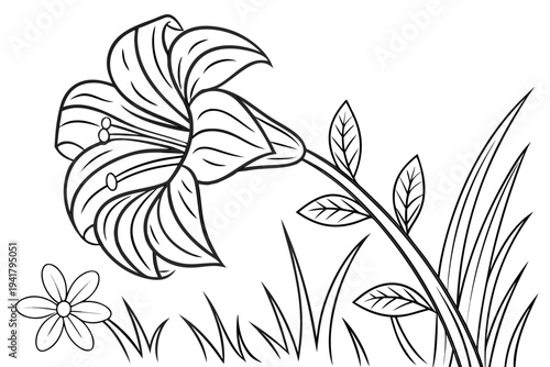 coloring page line art the rafflesia flower black vector