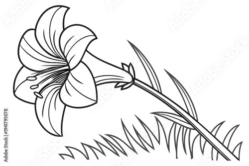 coloring page line art the rafflesia flower black vector