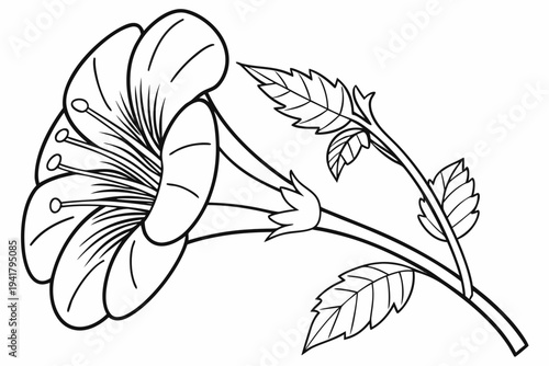 coloring page line art the rafflesia flower black vector