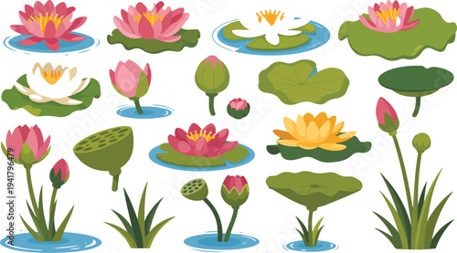Swamp Plants Set with Isolated Cartoon Water Lily, Forest Pond Elements, Wild Nature Green Collection Vector Floral and Herbst Clipart