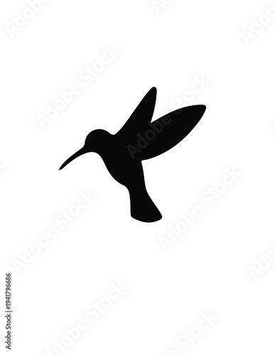 seagull silhouette isolated on white