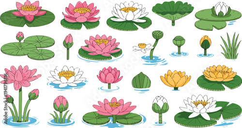 Swamp Plants Set with Isolated Cartoon Water Lily, Forest Pond Elements, Wild Nature Green Collection Vector Floral and Herbst Clipart