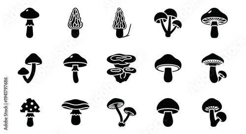 Various fungi silhouettes arranged in a grid pattern on a clean white background from a direct viewpoint