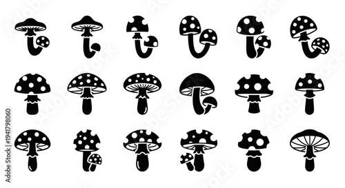Collection of various black and white mushroom illustrations displayed in a grid pattern showcasing different species and detailed characteristics