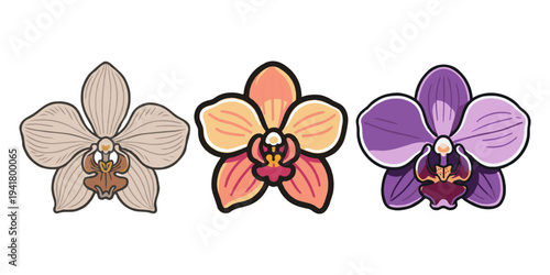 Three orchid flowers in beige, orange, and purple, illustrated in hand-drawn style on white background, representing floral beauty concept