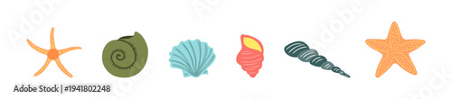 Seashell, starfish illustration isolated set. Summer holidays, vacations, tropical resort, beach, marine wildlife, aquatic animal. Flat design element, clip art collection, hand drawn vector