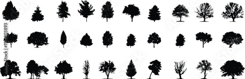 Tree silhouette collection for landscape, forestry, and nature design. Detailed black tree shapes including oak, pine, maple, and leafless winter styles. Natural vector graphics for maps, landscaping 