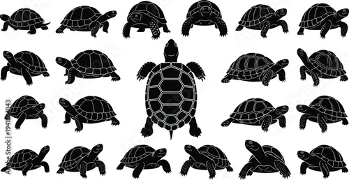 Turtle silhouette collection showing multiple tortoise poses, sea turtle shell patterns, reptile wildlife vector set, animal icon bundle isolated