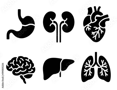 Collection of Black and White Representing Human Organs