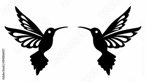 Two hummingbirds in mid-air dance with outstretched wings