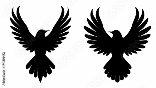Two majestic black birds in mid flight with wings spread wide
