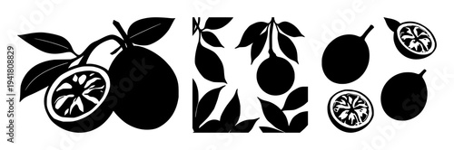 Passion fruit set with solid black silhouette of a whole passion fruit beside a passion fruit half on white background featuring exotic, botanical, fruit with silhouette and black