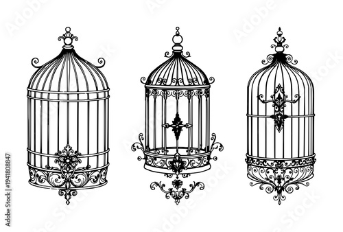 Birdcage set with ornate Victorian line art featuring birdcage, decorative latch, floral flourishes with black ink and white background