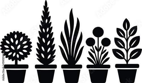 Stylized black silhouette illustration of five diverse potted plants with unique leaf patterns and artistic shapes, perfect for botanical studies, decorative 