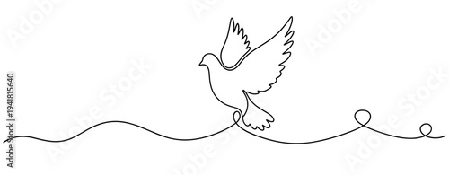 Dove flying above continuous line on white background
