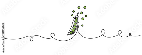 Pea pod releasing peas on continuous line background