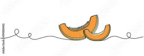 Sliced cantaloupe wedges arranged on continuous line background