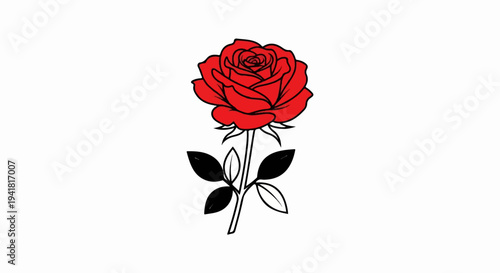 Red rose with black stem and leaves on a white background