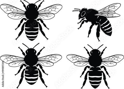 Bee silhouette illustration with multiple perspectives, top view and side profile, detailed insect vector design for nature, ecology, pollination, environment, art
