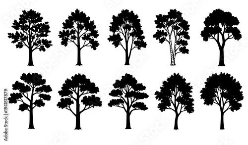 Tree Silhouette Vector Set Editable Printable Forest Tree Collection EPS Isolated on White