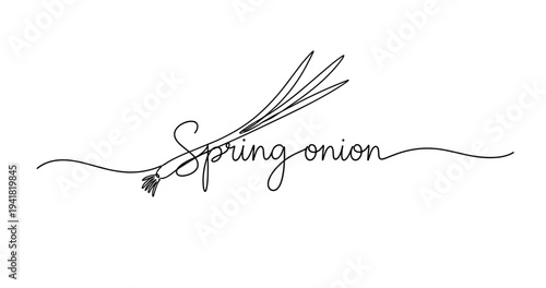 Minimalist spring onion line art with elegant typography. No editable strokes