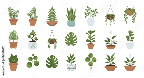 A diverse collection of popular indoor houseplants in pots a flat vector illustration set.