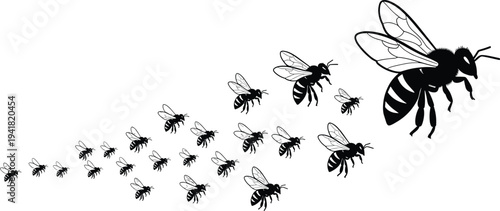 Diagonal bee silhouette illustration, black and white insect vector design showing growth progression, nature, ecology, pollination, environment, biodiversity, art