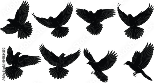 Bird silhouettes in flight, dynamic wing positions, detailed feather shapes, black vector illustration of avian motion, elegant wildlife design for artistic projects