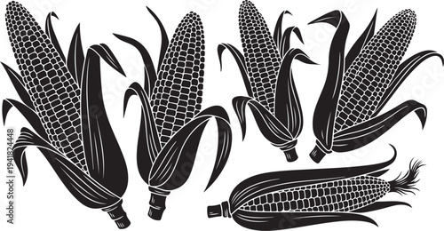 Black and white illustration of corn on the cob