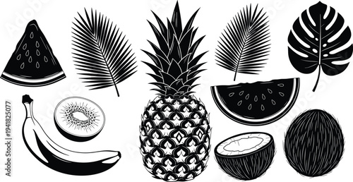 Tropical fruit engraving set, pineapple banana coconut kiwi watermelon illustration, exotic summer fruits and palm leaves, vintage botanical food vector collection