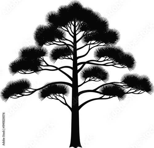 Black silhouette of conifer tree with tall trunk, symmetrical branches and needle leaves, minimalistic vector artwork, botanical design illustration for nature themes