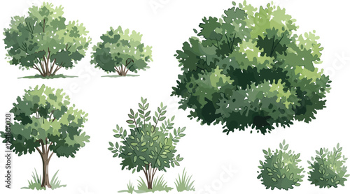 Bushes and shrubs illustration, green foliage vector art, decorative garden plants design, landscape nature artwork, botanical vegetation drawing concept