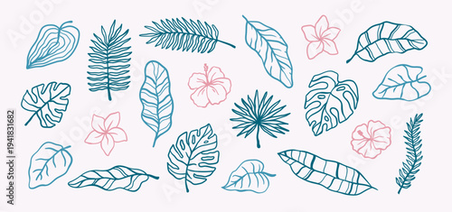 Tropical leaves doodle sketching line. Hand drawn summer exotic plants, palm, hibiscus flower and banana leaf. Naive whimsical minimal decorative floral elements vector illustration