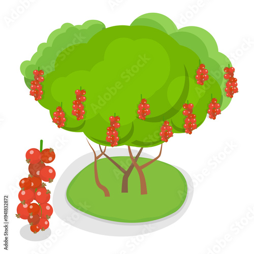 3D Isometric Flat Vector Illustration of Organic Fruits and Berries , Collection Of Shrubs Perfect For Gardens And Landscaping. Item 1