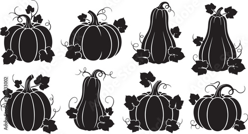 Black silhouettes of pumpkins and gourds with leaves illustration
