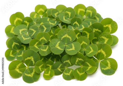 A pile of green clover leaves with yellow markings